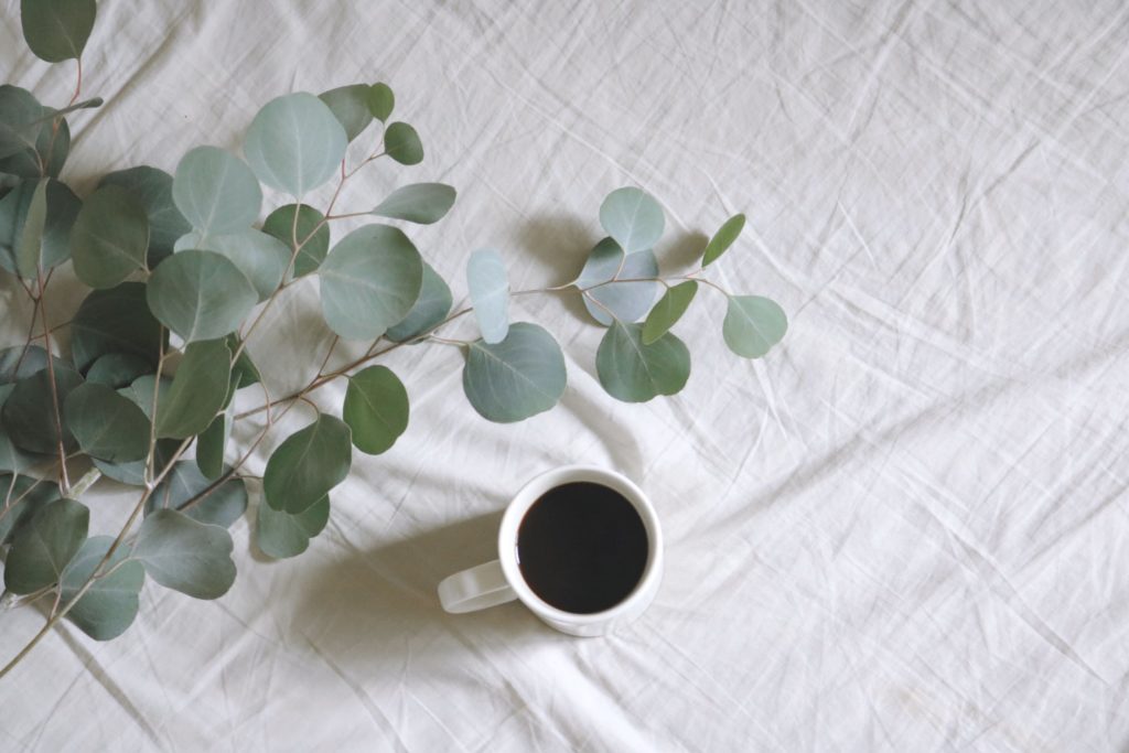 eucalyptus and coffee